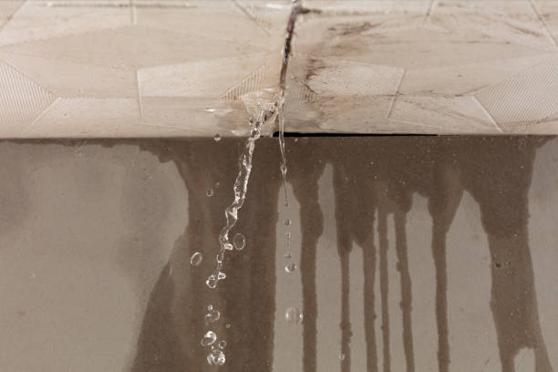 Professional Water Damage Inspection technician working in Winona, TX
